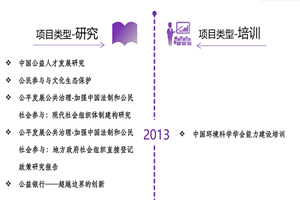 荡妇骚p非评估类项目发展历程